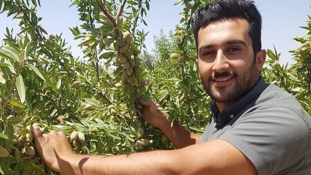 لیست قیمت و خرید پرفروش‌ترین نهال‌های بادام در سال جدید