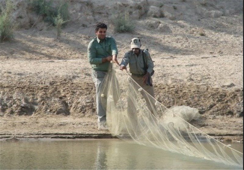 صیادان غیر مجاز در سردشت به دام افتادند