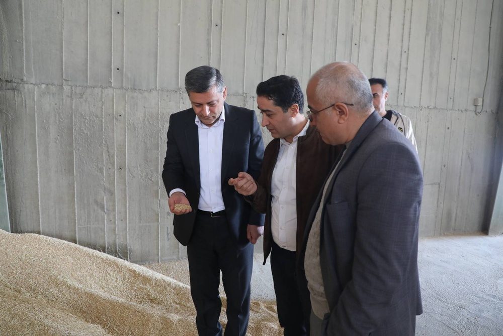 تأمین پایدار آرد در کردستان؛ هیچ کمبودی وجود ندارد/ بازدیدهای سرزده از کارخانهها ادامه دارد