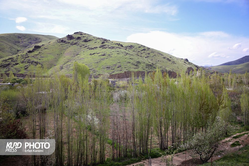 طبیعت بهاری سنندج /عکاس: عرفان کرمی