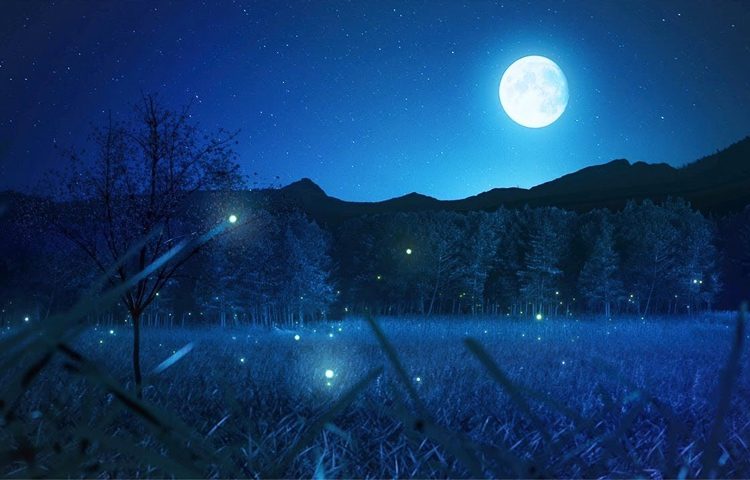 برای آرامش قبل خواب چه کنیم؟