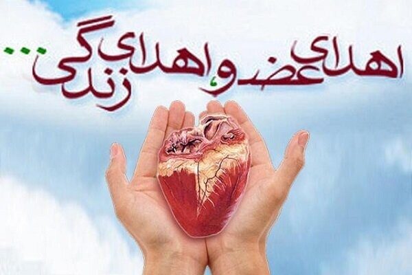 بازگشت به زندگی؛ تولدی دوباره
