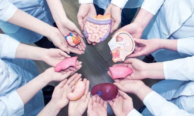 جوان مهابادی به ٣ بیمار جانی دوباره بخشید