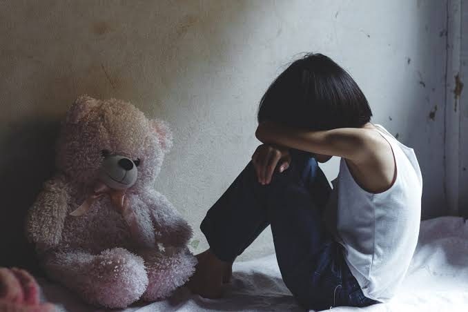 Controversy over the issue of child abuse in Turkish Kurdistan; Majlis says this is a lie