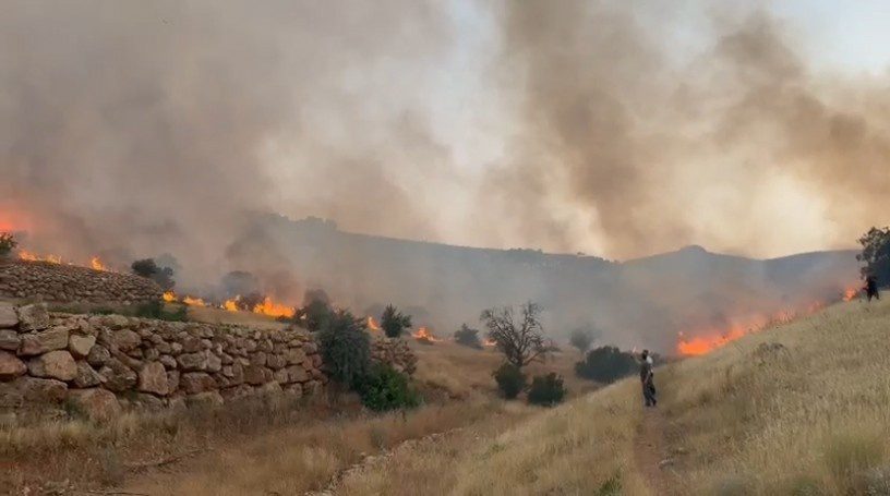 Mardin plains in the middle of fire; The flames reached the houses