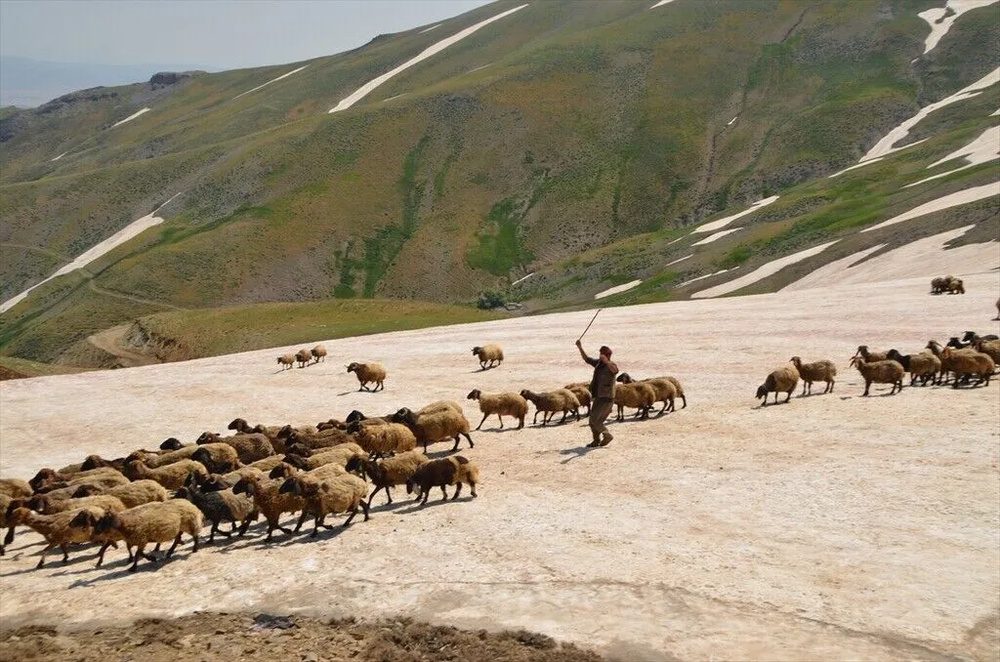 تصاویر کوچنشینان کُرد در دامنههای برفی و زیبای کوه کورتیک کردستان ترکیه