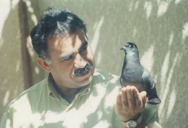 سلاح یک پیامد است، باید علت آن برچیده شود/ باید امکان ارتباط اوجالان با PKK فراهم شود + فیلم