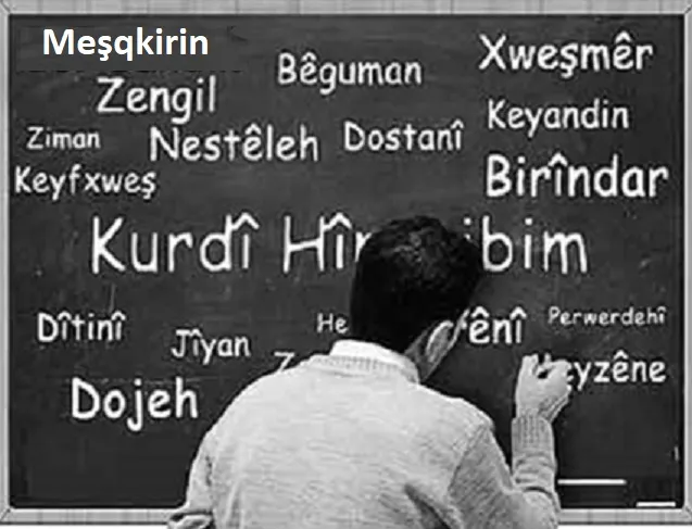 تصویب تدریس زبان کُردی در مدارس سوریه به‌طور رسمی