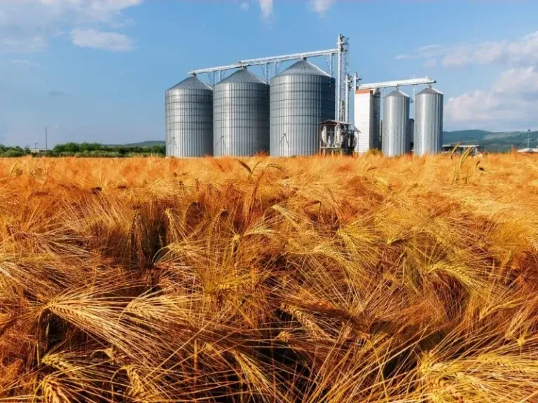 ممانعت از فعالیت مرکز خرید گندم با ورود بازرسی کل آذربایجان غربی