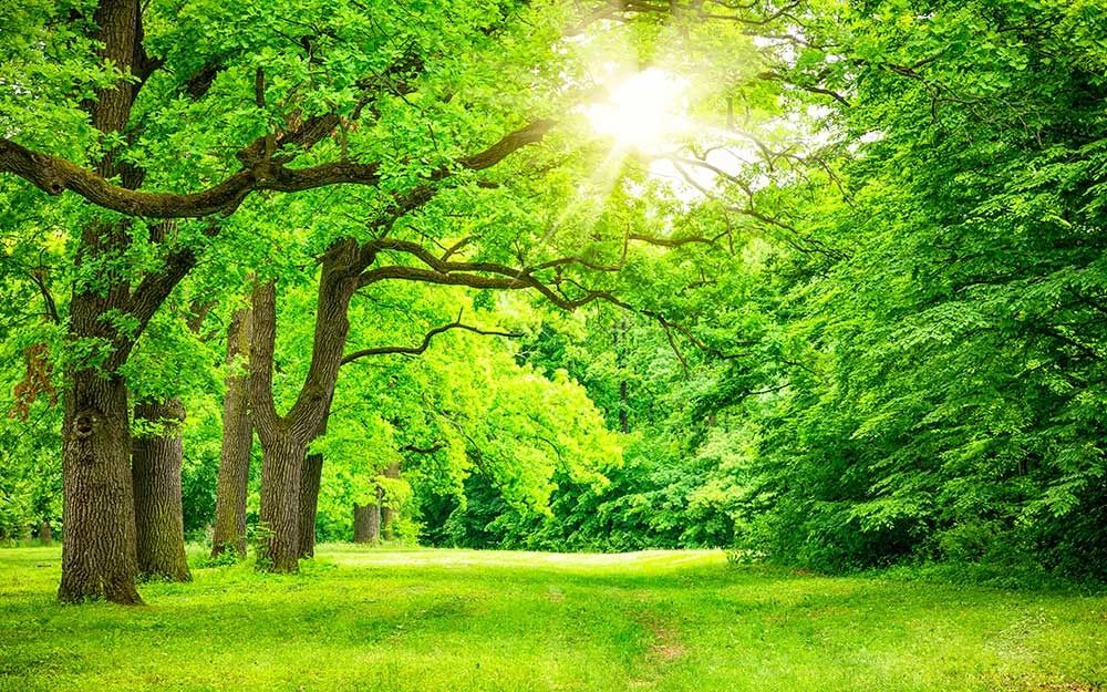 هوای آذربایجان غربی خنک می شود