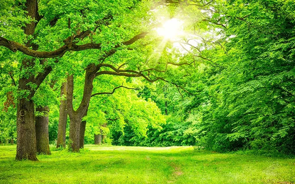 هوای آذربایجان غربی خنک می شود