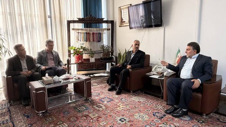«خوشه صنعتی فرش دستباف» در کردستان اجرا می شود