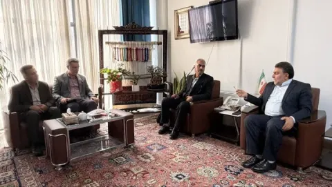 «خوشه صنعتی فرش دستباف» در کردستان اجرا می شود