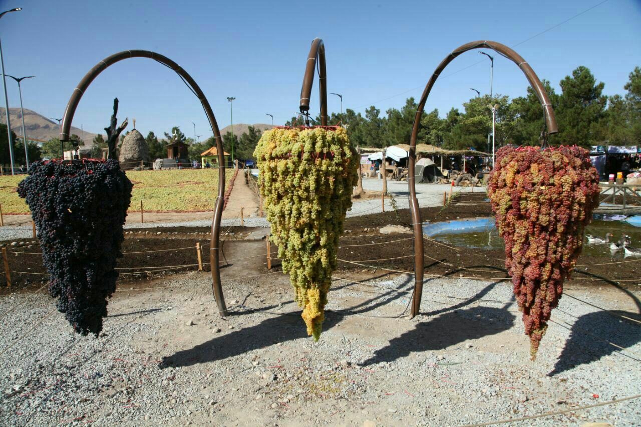 رییس شورای شهر: اعلام آمادگی نمایندگان ۱۹ کشور برای حضور در جشنواره انگور ارومیه