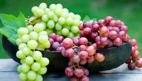 انگور دومین محصول باغی استراتژیک آذربایجان غربی/صادرات هزار تنی به ترکیه و کشورهای حوزه خلیج فارس