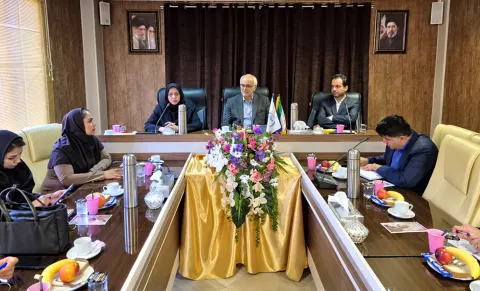 ۲۵۰ هزار نمونه در بانک خصوصی خون بند ناف رویان ذخیره شده است