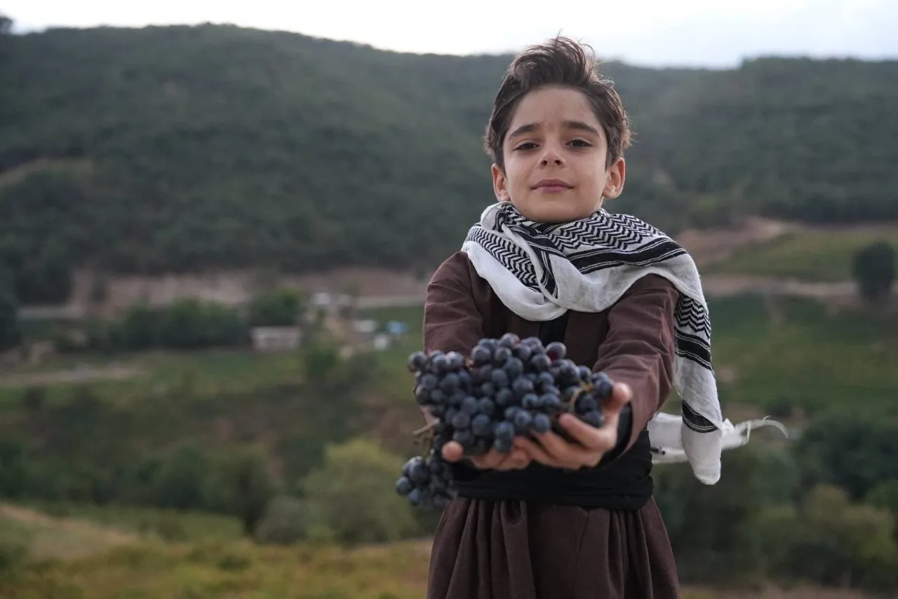 جشنواره انگور سیاه میرآباد با نام «ڕەزبەر» برگزار شد