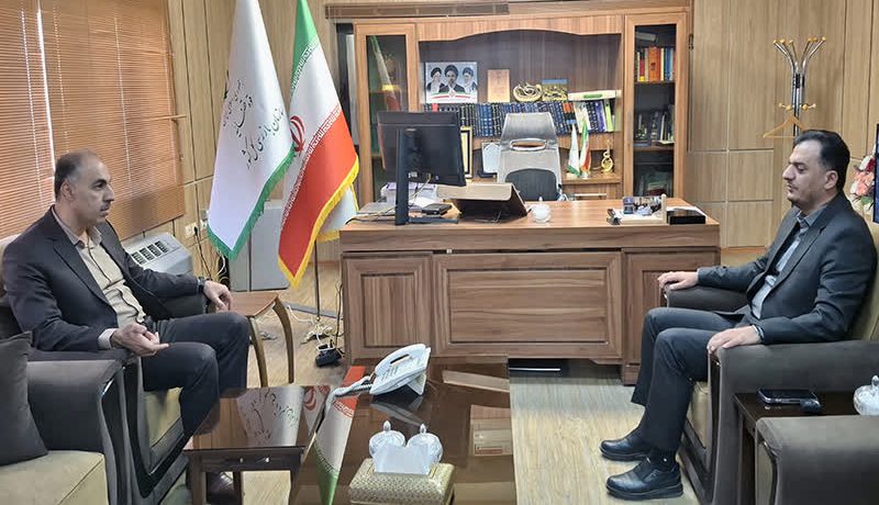 ۴۶۰۰ بازدید نظارتی از جایگاه ها و مصرف کنندگان عمده سوخت کردستان انجام شد