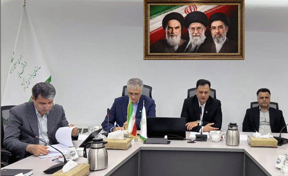 هم افزایی نظارتی مجلس و سازمان بازرسی به رفع دغدغه های مردم کمک می کند