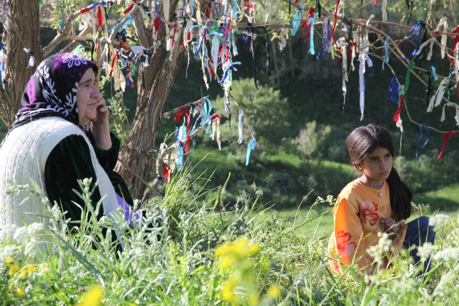گسترش شبکه جشنواره های فیلم کردی در جهان