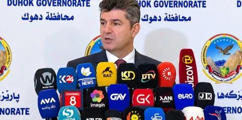 استاندار دهوک: درختان قطع‌شده از ترکیه وارد اقلیم کردستان می‌شوند