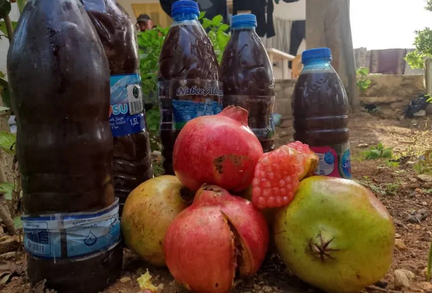 آغاز فصل تهیه رب انار در عفرین؛ تداوم یک سنت دیرینه کُردی