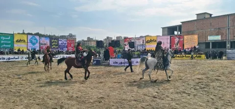 چهارمین همایش سراسری اسب کُرد در سقز برگزار شد