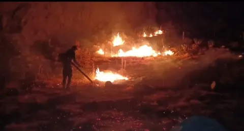 آتش سوزی گسترده در منطقه حفاظت شده امروله و دالاخانی