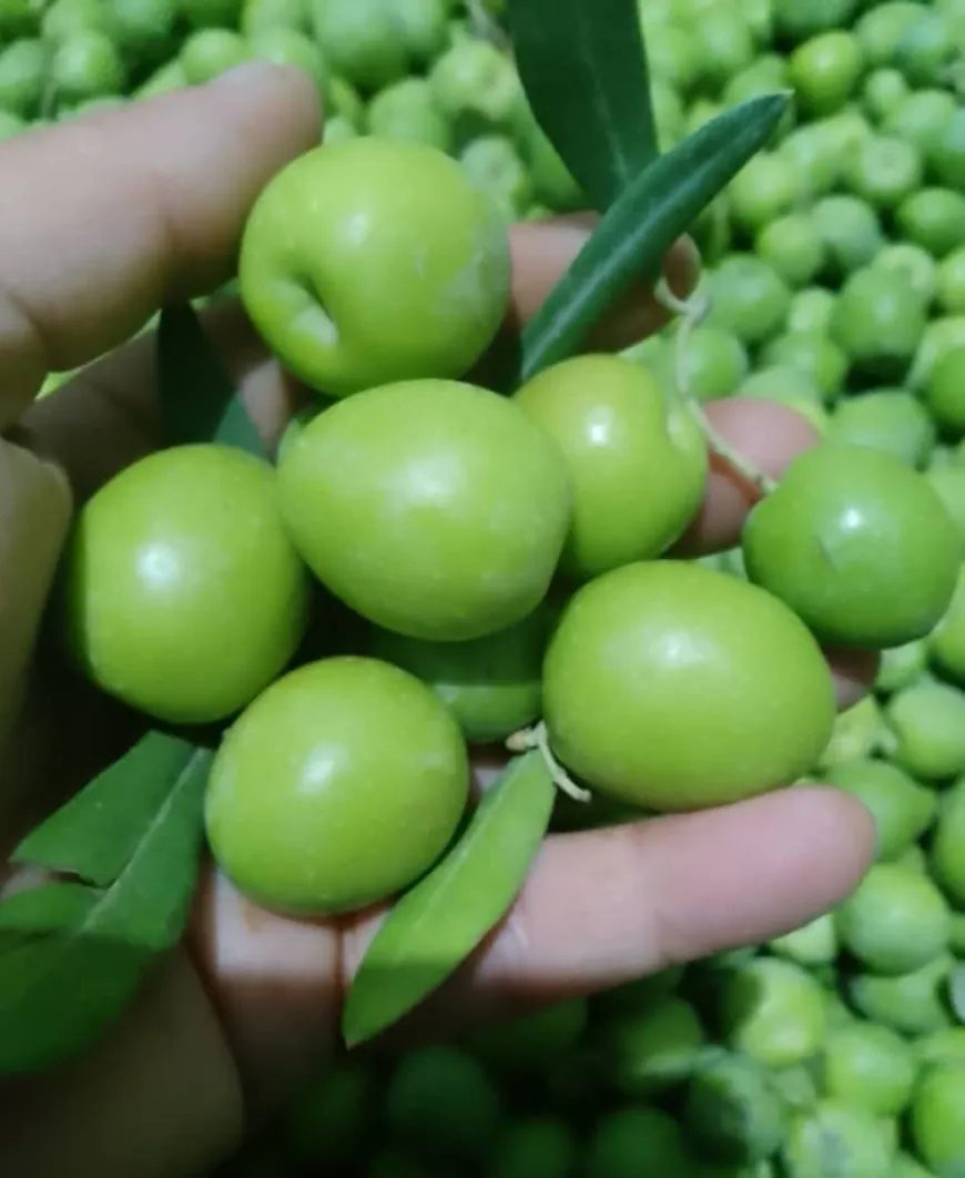 image_870x_6ae0cc0931055.webp