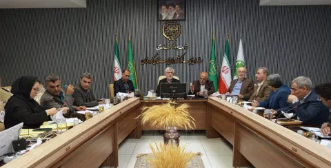 موافقت با واگذاری اراضی برای اجرای ۱۱ طرح تولیدی و صنعتی در کردستان